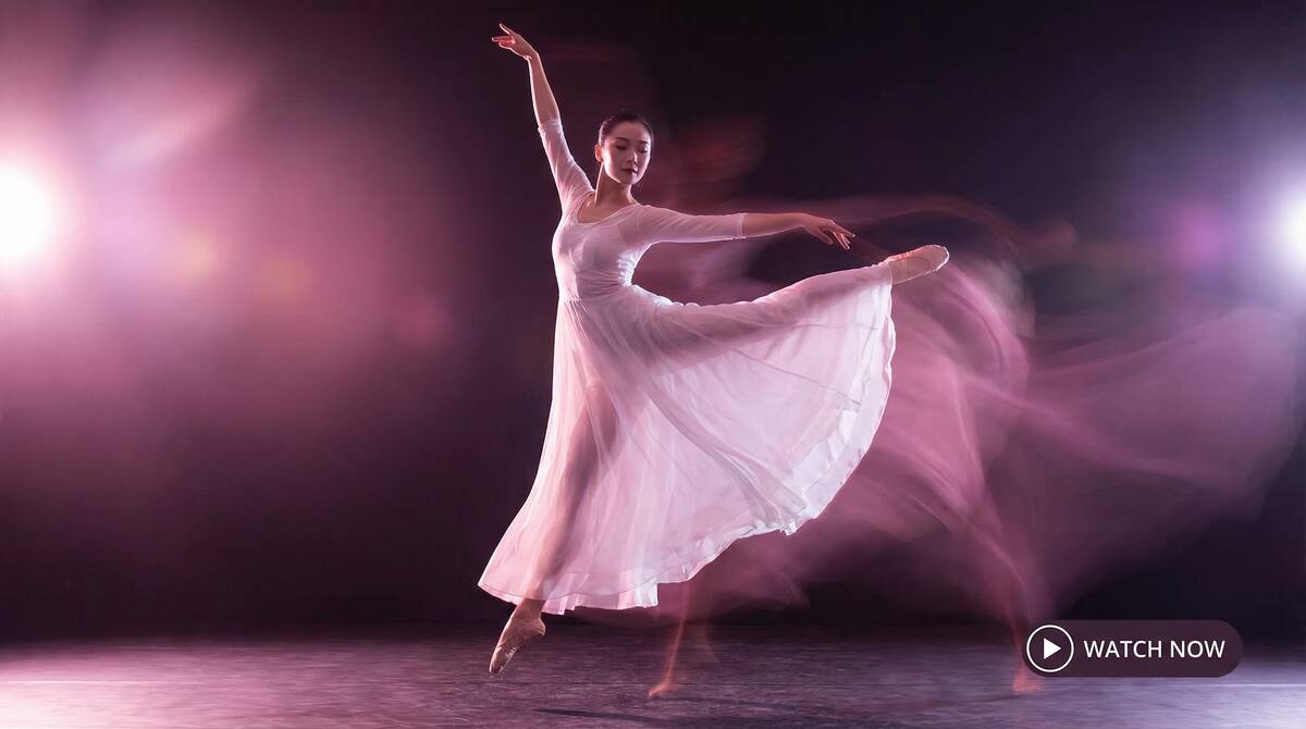 鲍鱼网舞蹈视频